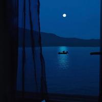 陆子杨