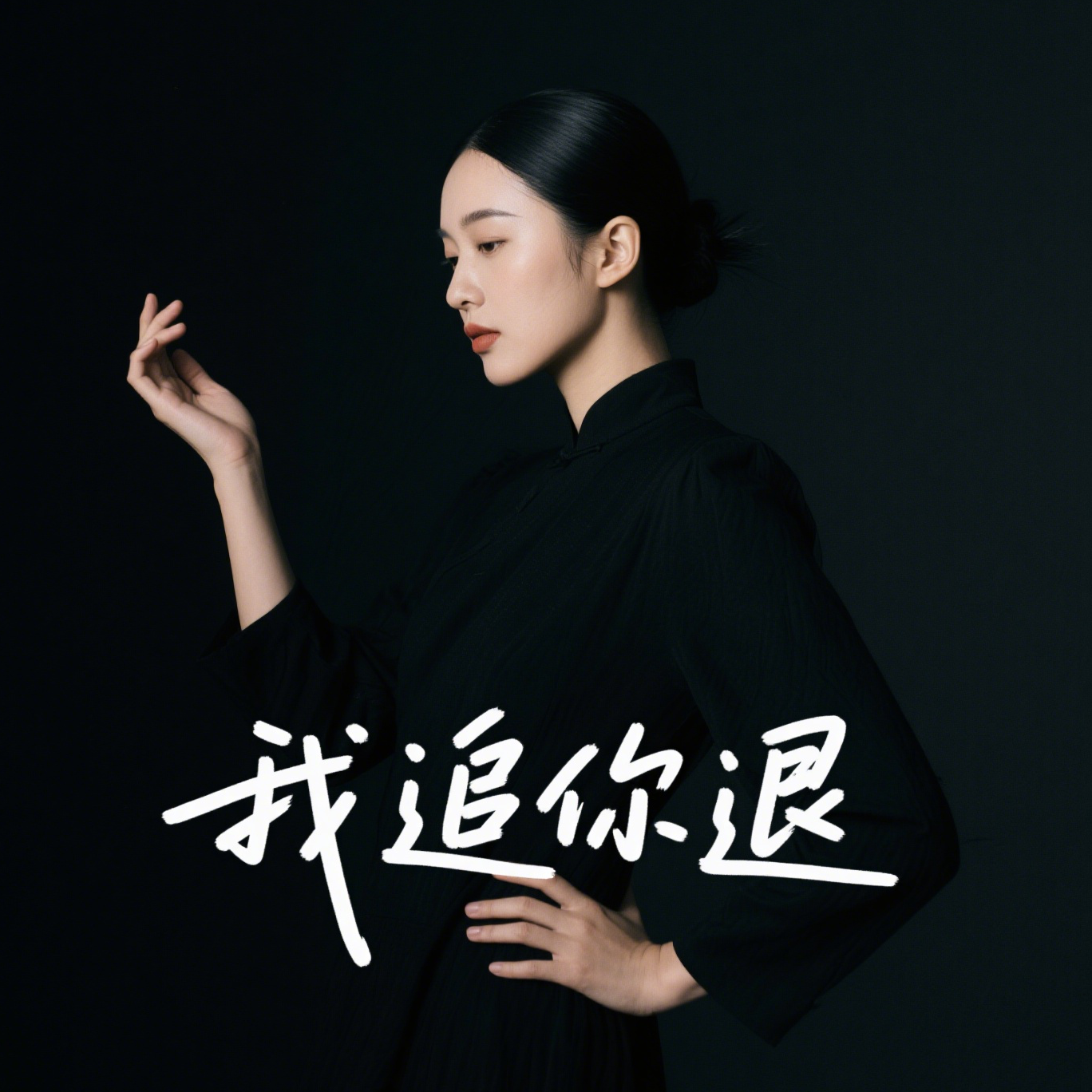 我 追 你 退 (D J大 麦 版)封面