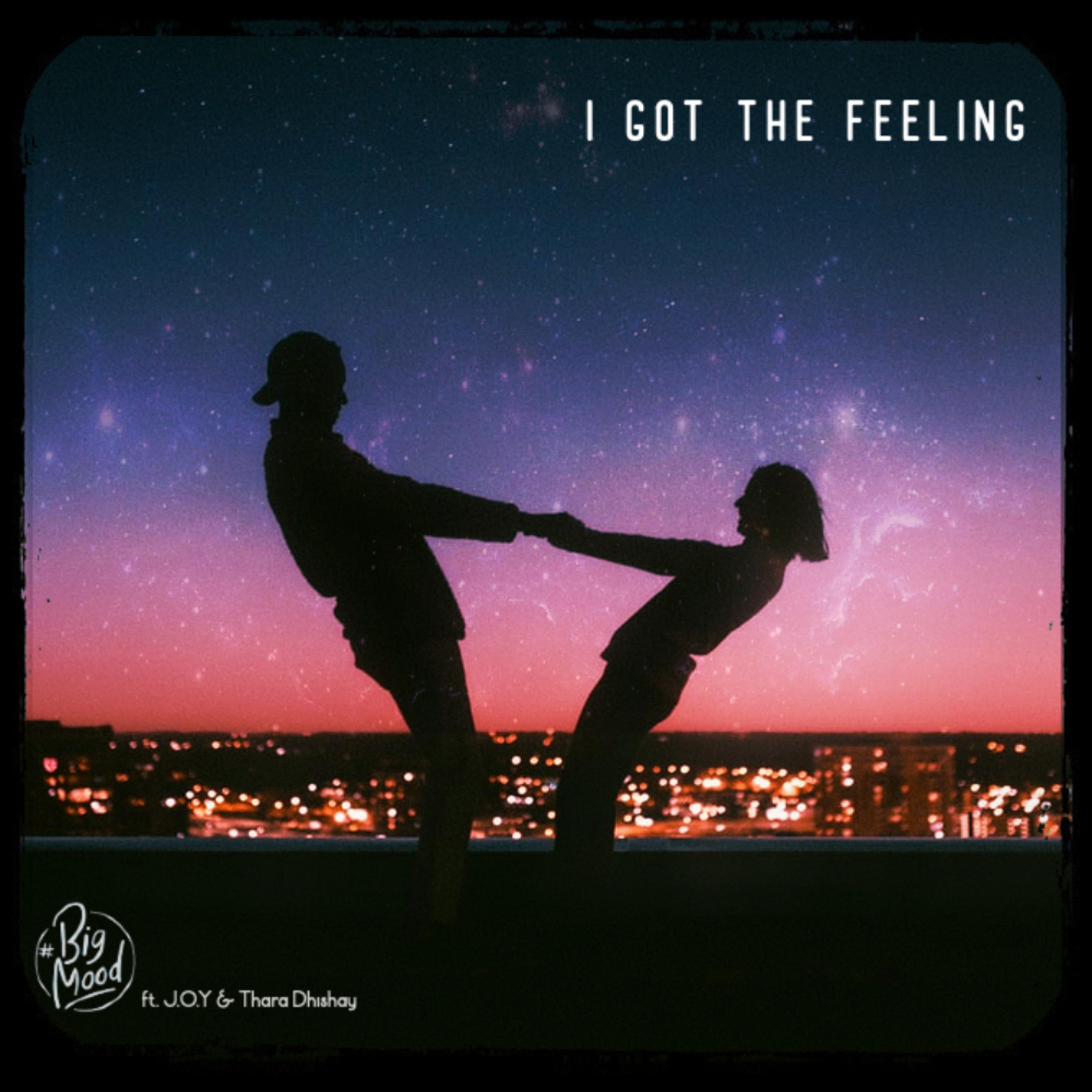 I Got The Feeling (feat. J.O.Y)_Big Mood_I Got The Feeling (feat. J.O.Y) | 在线播放_I Got The Feeling (feat. J.O.Y)歌词_I Got The Feeling (feat. J.O.Y)下载 | 网易云音乐
