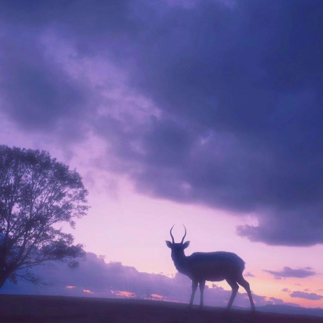 晨起，愿他心有所属