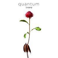 quantum