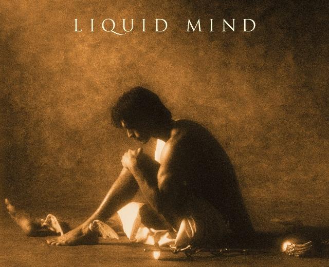 Liquid Mind