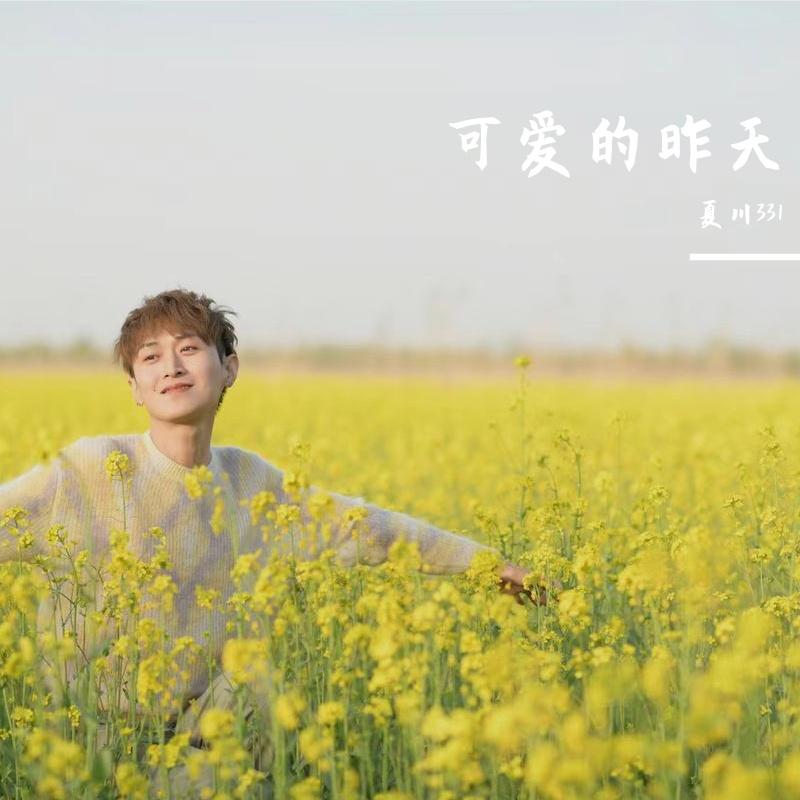 梦之浮桥封面