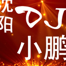 DJ 小鹏