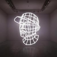 Reconstructed : The Best Of DJ Shadow