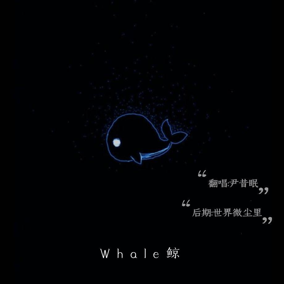 whale（鲸）