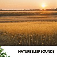 Nature Sleep Sounds: Symphony of Serenity