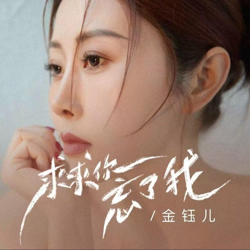 求求你 忘了我 (DJ九零版)封面
