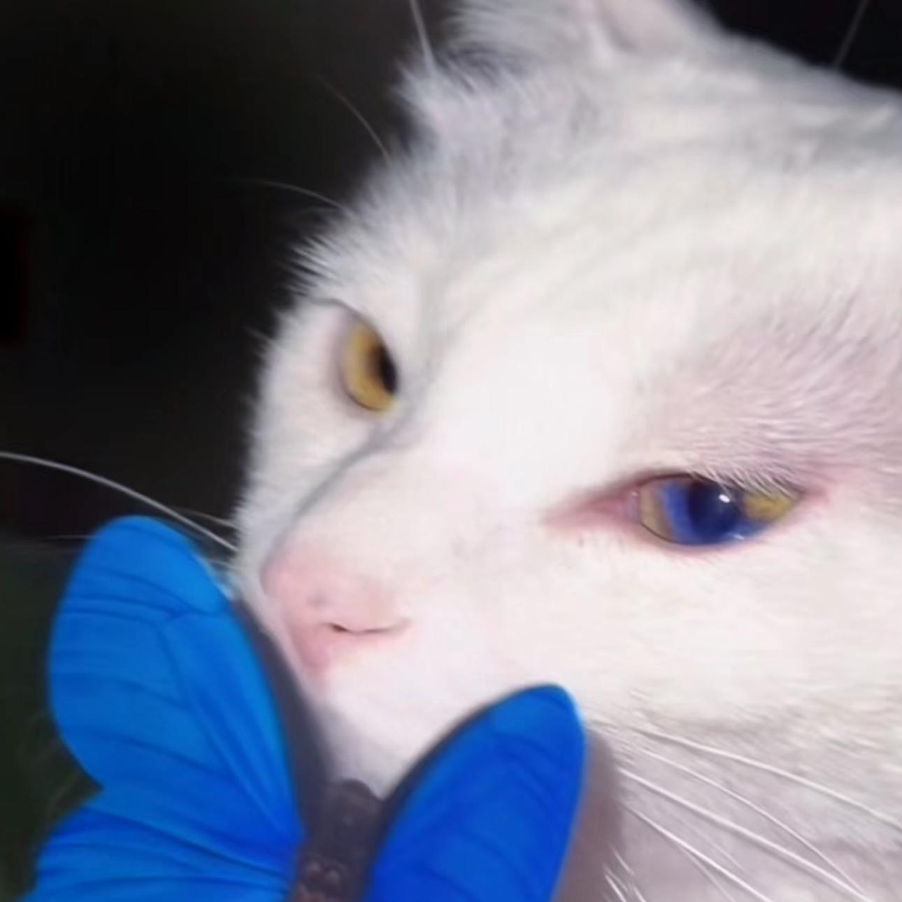 慵懒R&B｜轻缓舒适 丝滑韵律