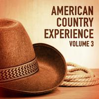 The American Country Experience, Vol. 3