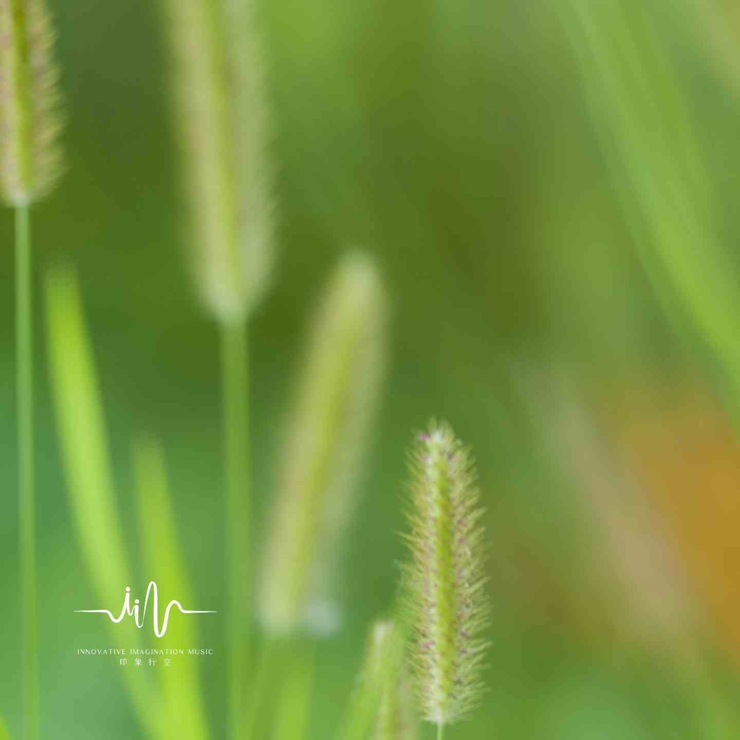 雨后彩虹 (静心钢琴)封面