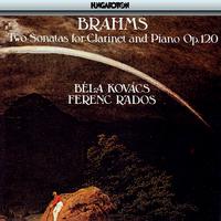 Brahms: Sonatas for Clarinet and Piano Nos. 1 and 2