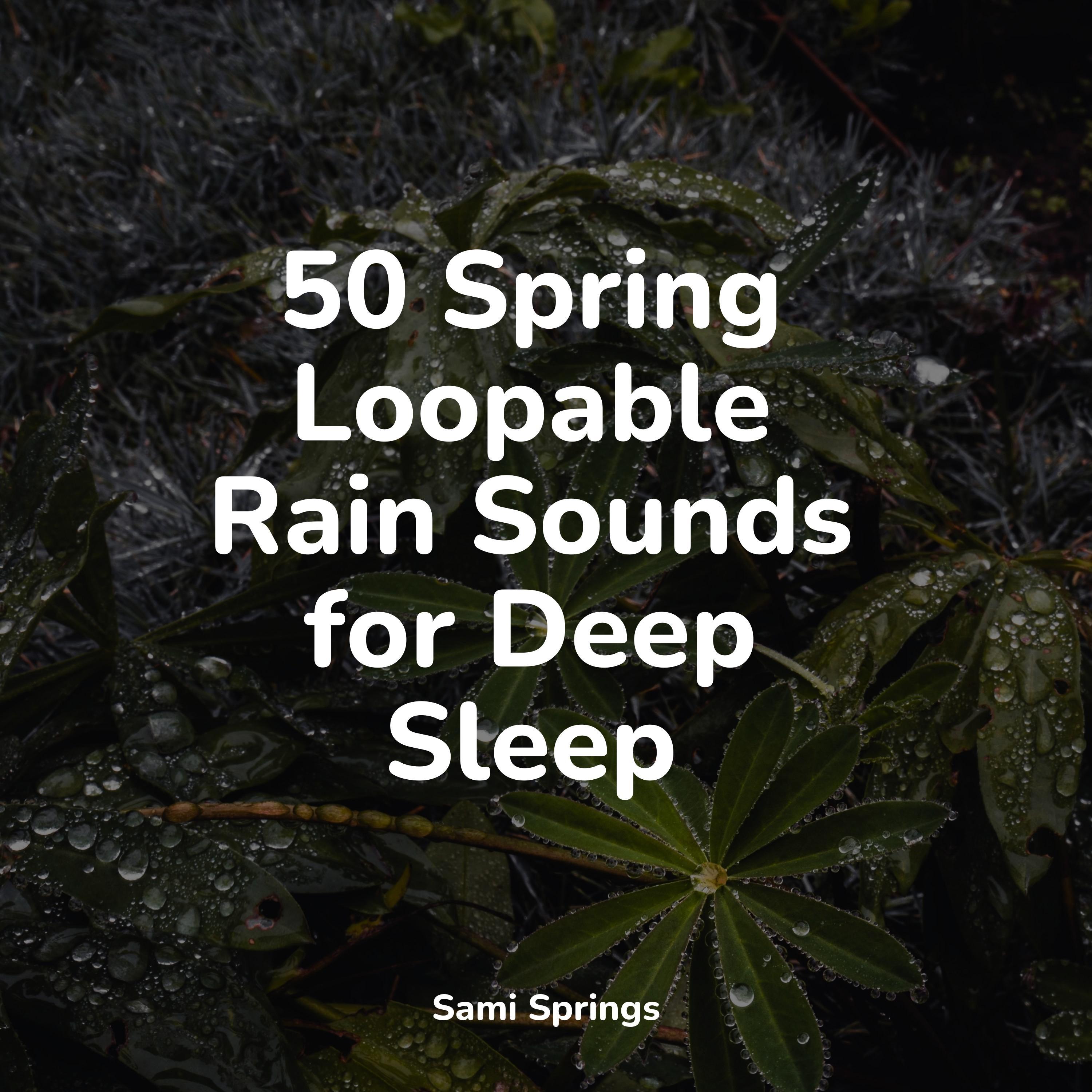 Blustery Woodland Gusts_Meeresrauschen_50 Spring Loopable Rain Sounds for Deep Sleep | 在线播放_Blustery Woodland Gusts歌词_Blustery Woodland Gusts下载 | 网易云音乐