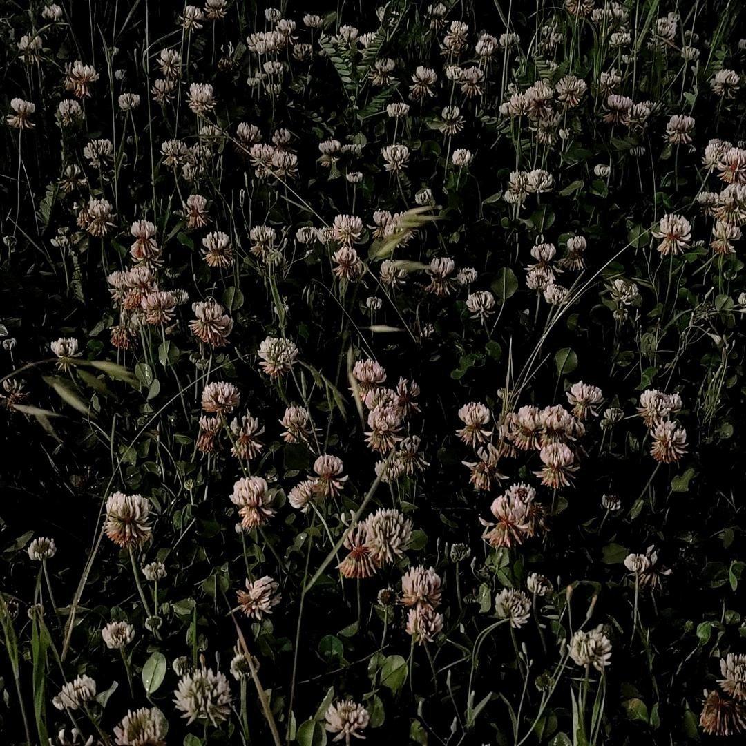 别来定义我好吗