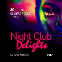 Night Club Delights (30 Top of Underground Tunes), Vol. 1