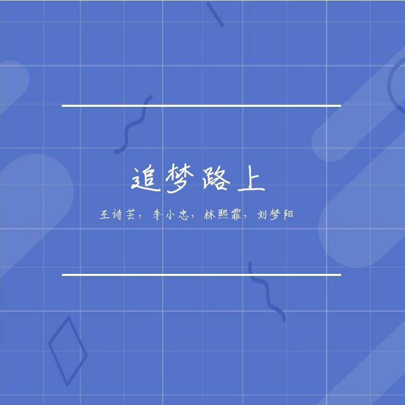 追梦路上封面