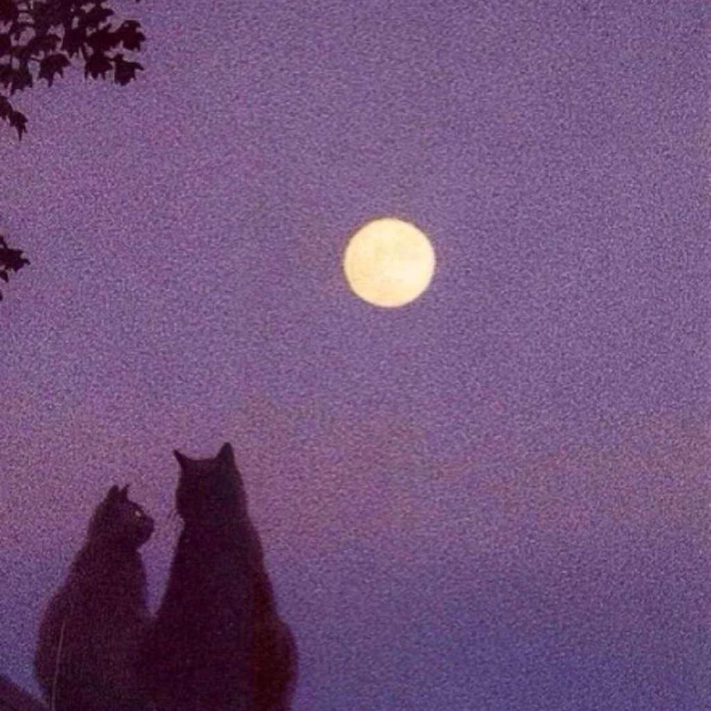 R&B丨午夜微醺 在月光下的暧昧氛围里沉沦