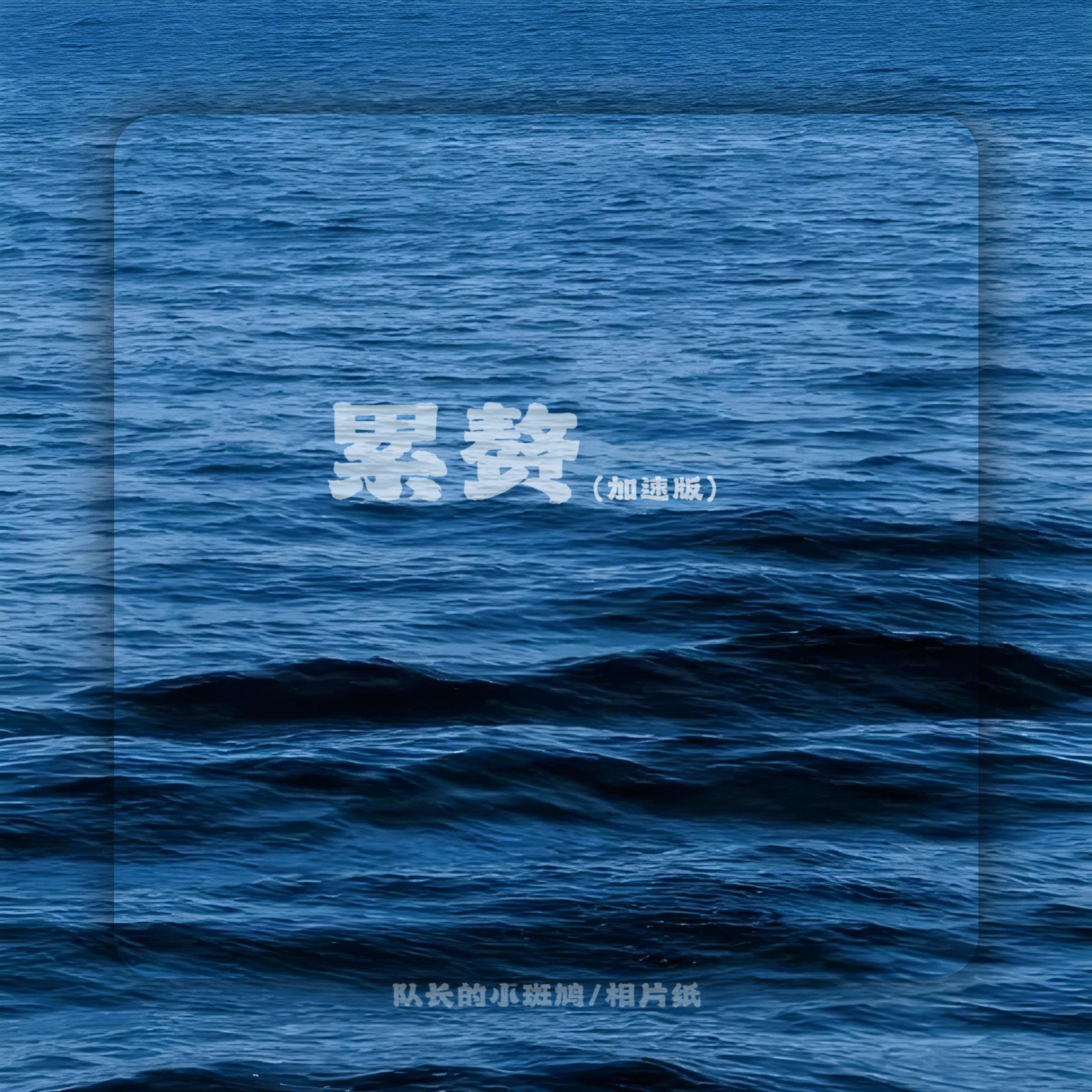累赘 (加速版)封面