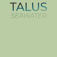 Talus Seawater