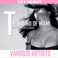 The Sound Of Miami