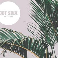 Got Soul Collective