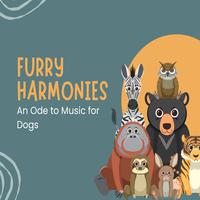 Furry Harmonies: An Ode to Music for Dogs