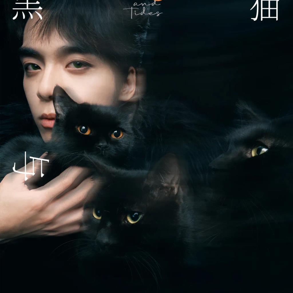 20231229「黑猫与潮汐」徐均朔livehouse