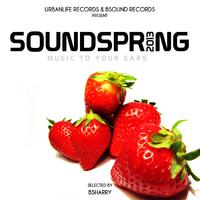 Sound Spring 2013 - Music to Your Ears