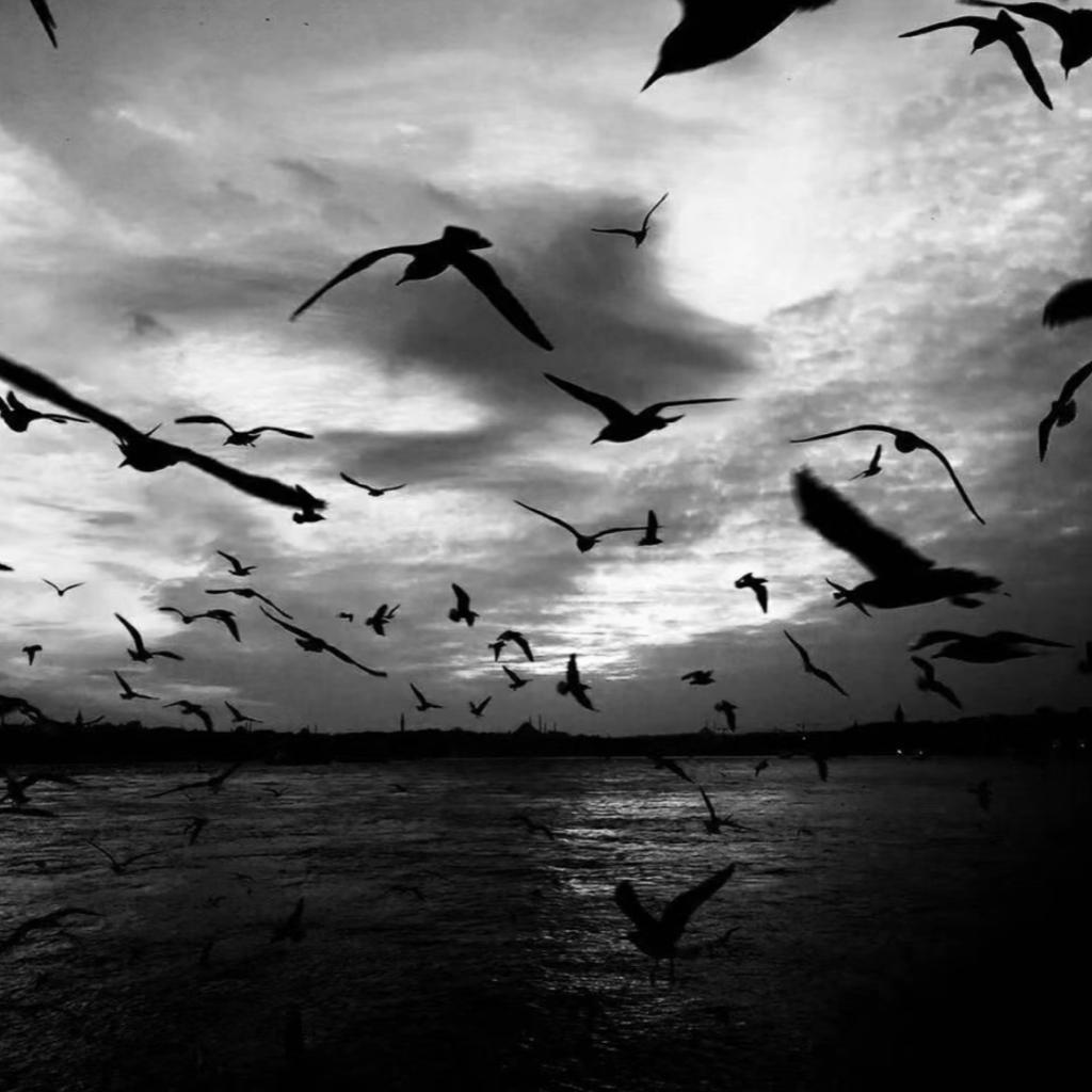 队长 | 郑润泽 | h3r3 |江辰| 颜人中