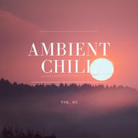 Ambient Chill, Vol. 05