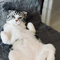 陶星来资料,陶星来最新歌曲,陶星来MV视频,陶星来音乐专辑,陶星来好听的歌