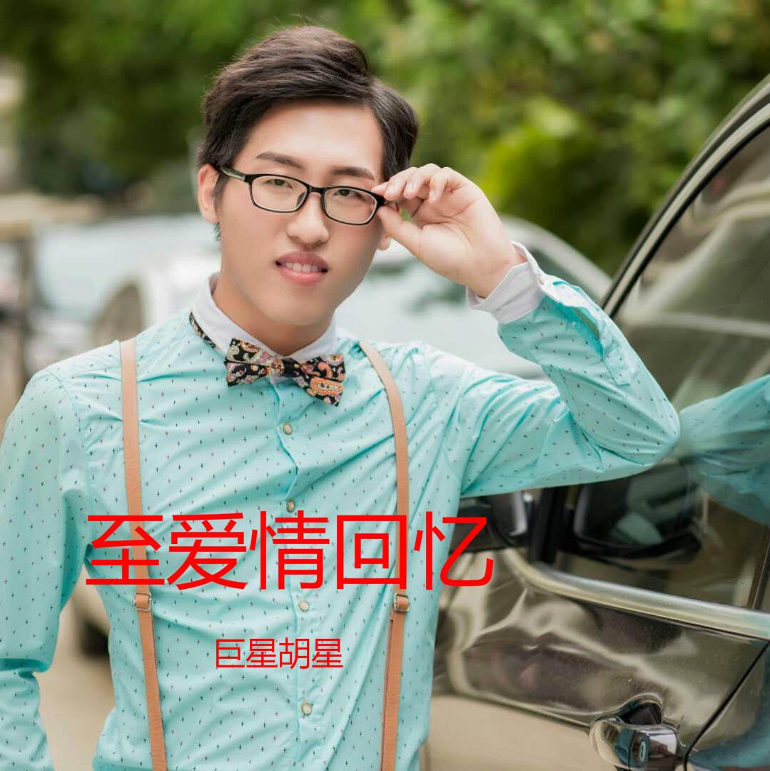 至爱情回忆封面