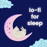 lo-fi for sleep