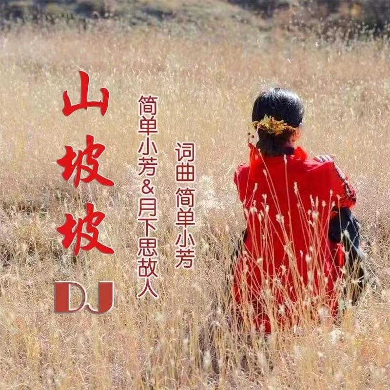 山坡坡 (DJ版)封面