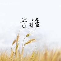 芒种