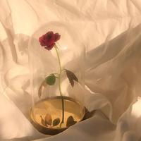 不吃番茄资料,不吃番茄最新歌曲,不吃番茄MV视频,不吃番茄音乐专辑,不吃番茄好听的歌