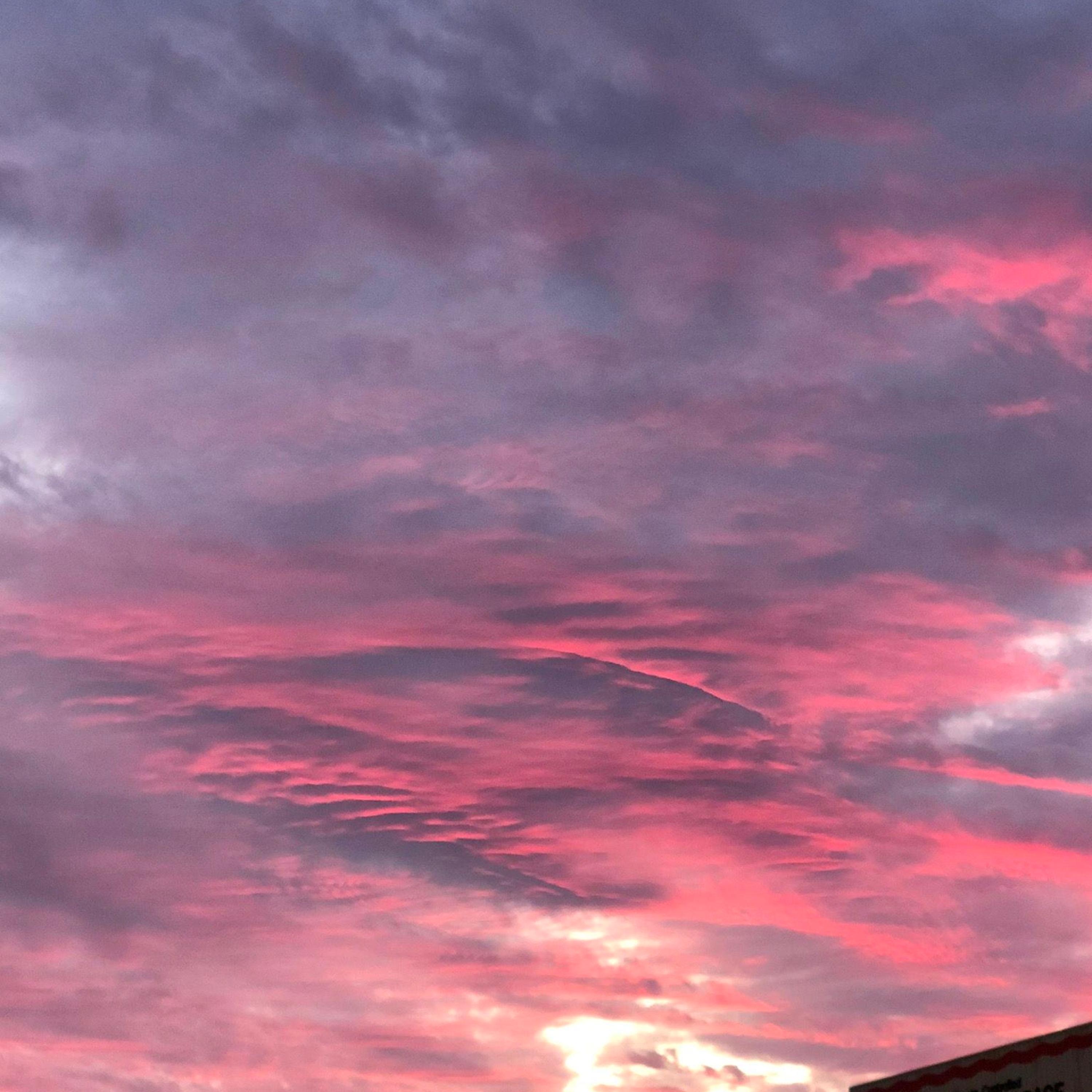 Either Homeless Or Somewhere in Japan