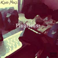 PLUGHOUSE