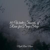 80 Winter Sounds of Rain for Deep Sleep