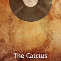 The Cactus