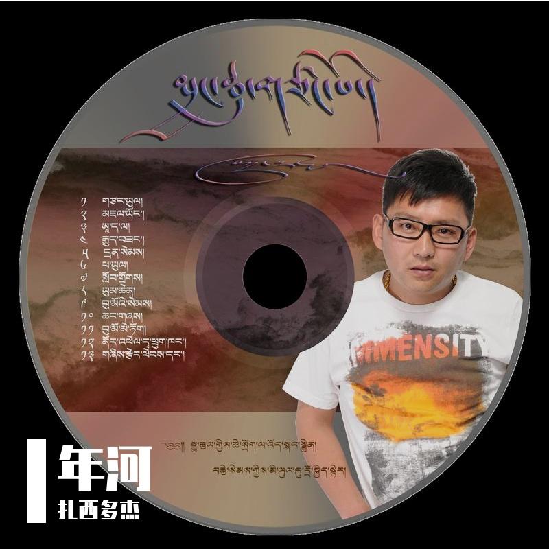青春如花封面