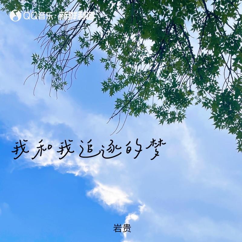 我和我追逐的梦封面