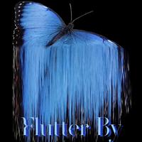 FLUTTER BY