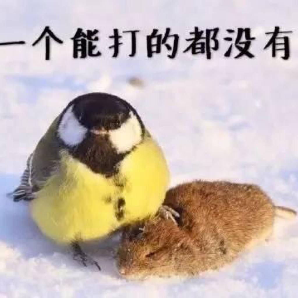 黄金体验镇魂qu