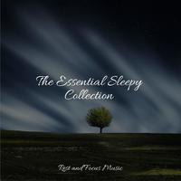 The Essential Sleepy Collection