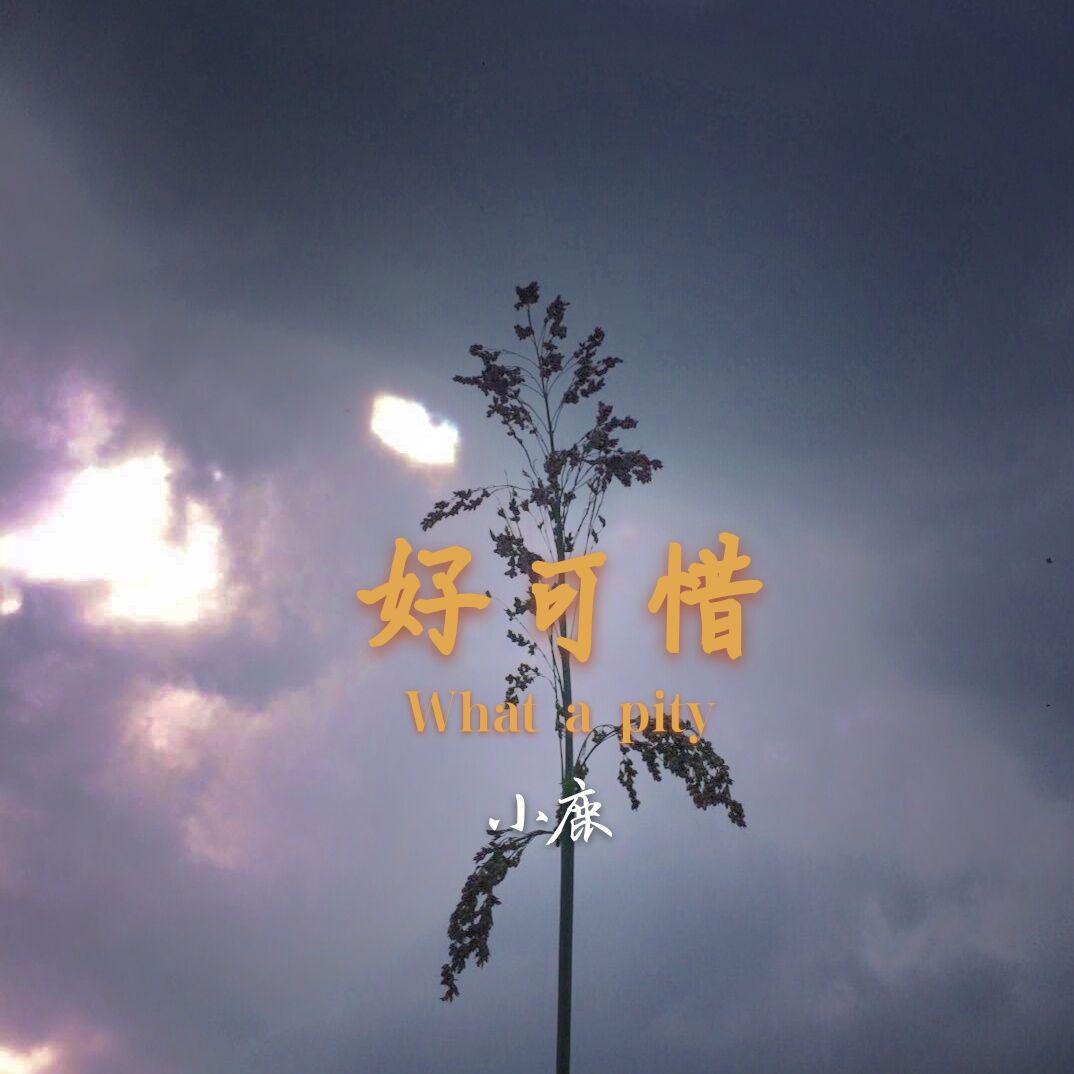 好可惜封面