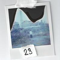 23