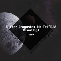 O Zone-Dragostea Din Tei（DJ吉利Bootleg）