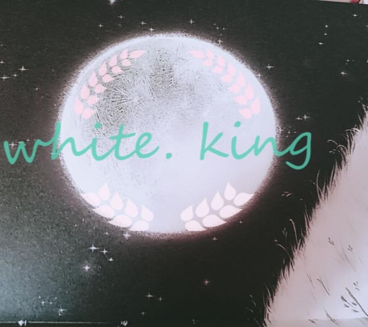 WKing陈毅