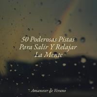 50 Poderosas Pistas Para Salir Y Relajar La Mente